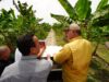 Corpozulia y la Gobernación reabren el Centro Internacional del Plátano en el Sur del Lago