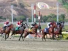 Con dos clásicos y una copa retornan las carreras hípicas