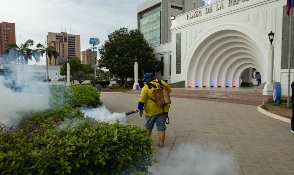 Plan-Fumigacion