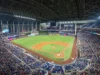 Turcos y escuálos chocarán en noviembre en Miami