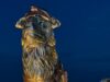 Alcalde Di Martino: Es un acto de heroísmo rescatar animales