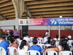 ¡Para nuestros animalitos! Dra. Polly Urribarrí: “Ahora el IMPA tiene su propia farmacia”