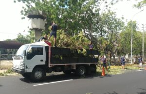 Rector ambiental insta a Corpoelec a mesa de trabajo para coordinar poda en Maracaibo